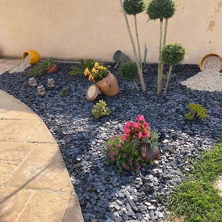 Petite Maison Dans Le Jardin Ars-en-Ré Exteriör bild